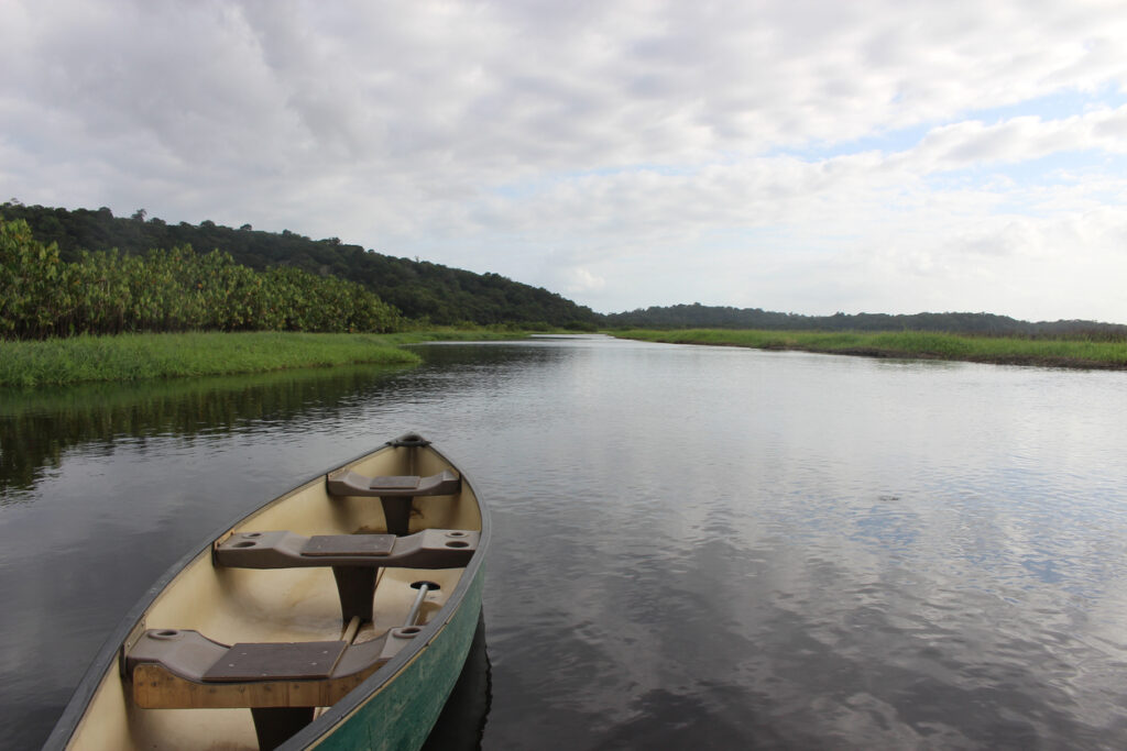 Marais de Kaw - solutis finances