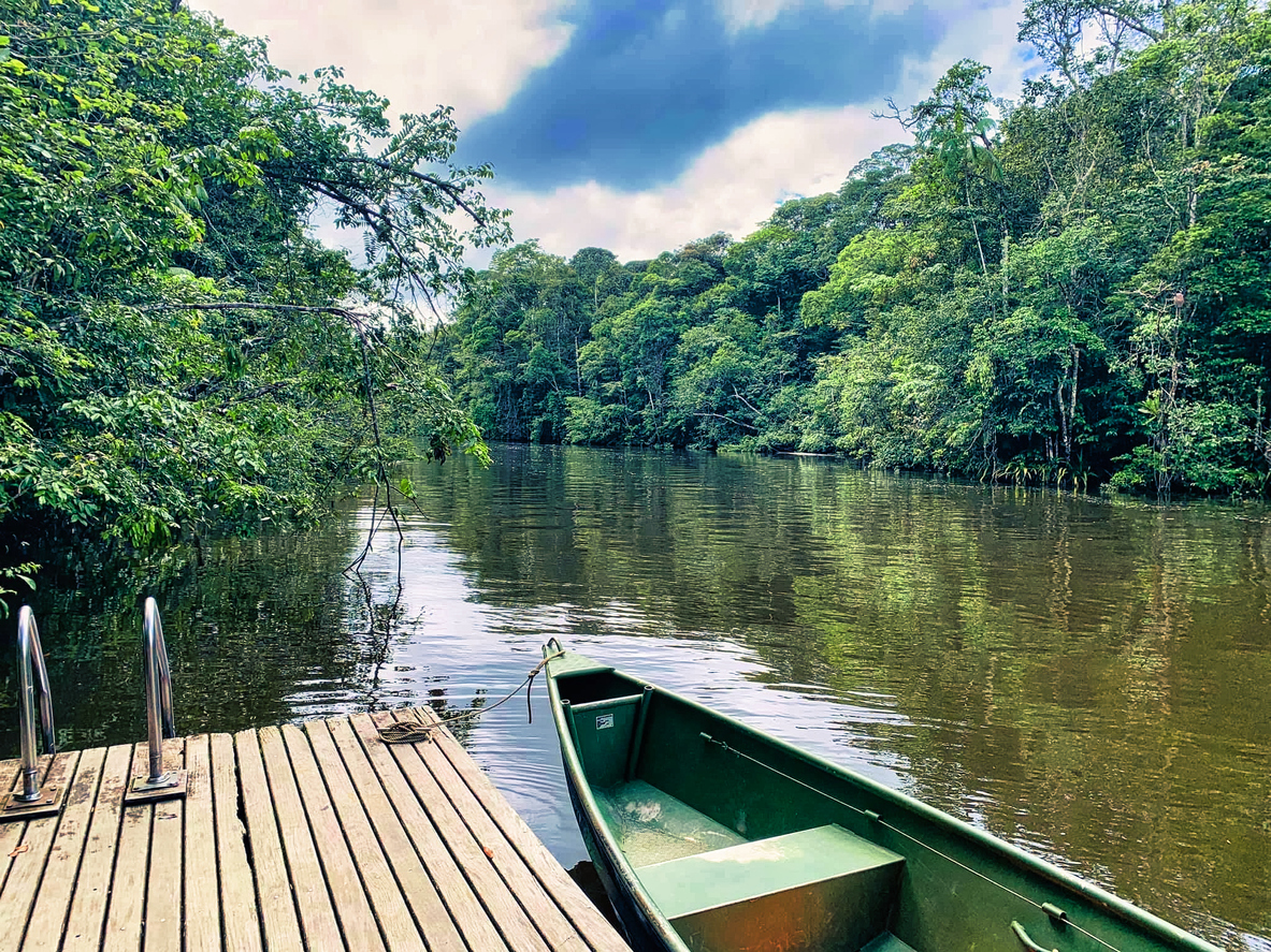 forêt amazonienne - Guyane - solutis finances